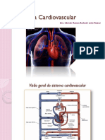 Cardio_I_2017.pdf