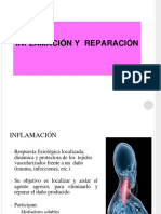 01-inflamacion(1)