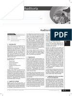 auditoria de capital.pdf