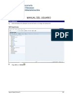 Manual SAP.pdf