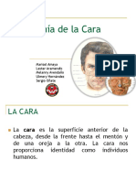 anatomadelacara-161126175042.pdf