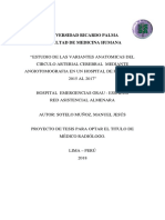 Estudio de Las Variantes Anatomicas Del Circulo Arterial Cerebral Mediante Angiotomografia en Un Hospital de Peru Entre 2015 Al 2017