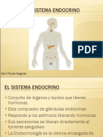 el-sistema-endocrino-1224396295238568-8