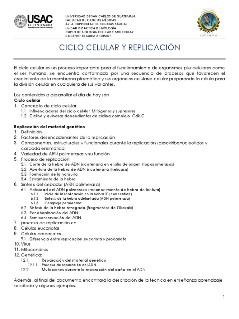 Ciclo Celular y Replicacion | PDF | Replicación De Adn | Biología Celular)