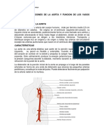 Tarea 1 Bufircaciones de La Aorta y Funcion de Los Vasos Linfaticos