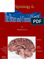 Otak Dan NN Cranialis