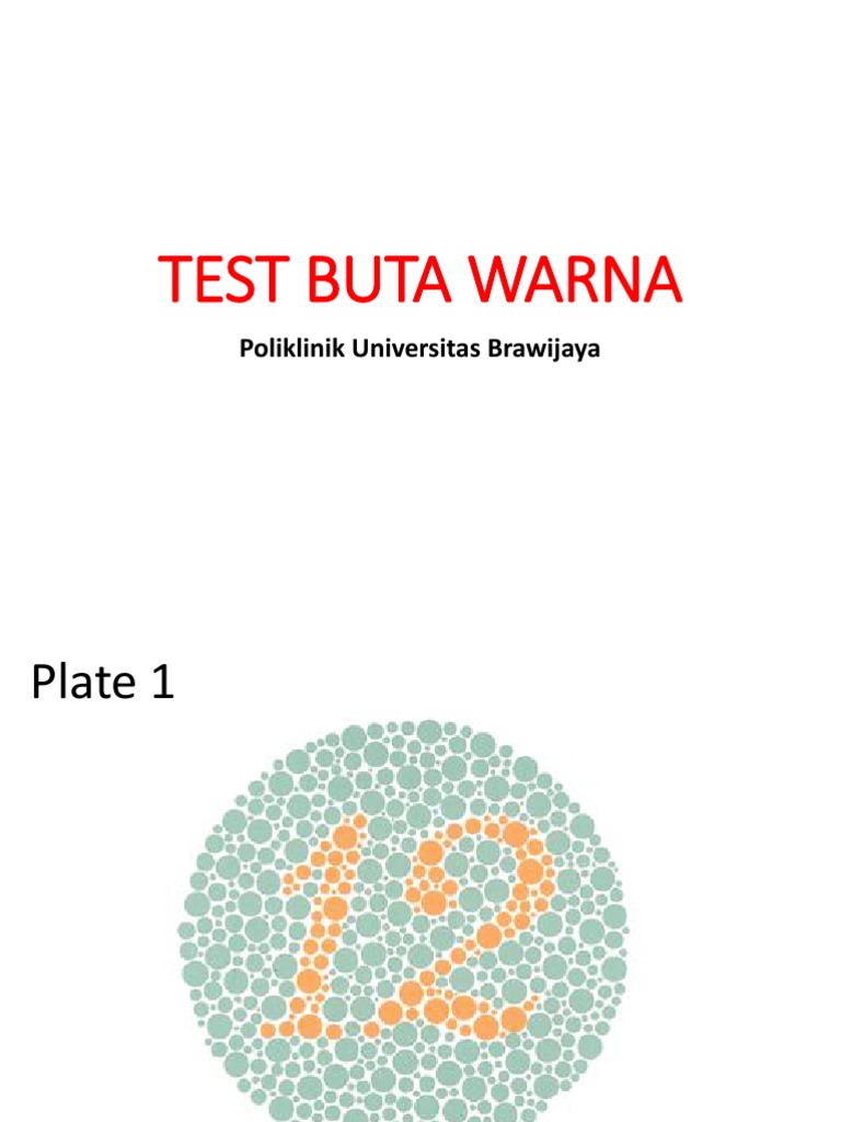 Ujian Buta Warna di Poliklinik UB | PDF