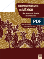 Maria Elisa Velazquez e Iturralde-Afrodesc en México.pdf