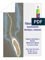 Caracterizacion bioquimica y molecular de Vibrio cholerae.pdf