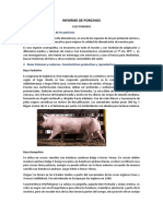Informe de Porcinos