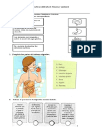 Practica Calificada de Ciencia y Ambiente Dogestivo