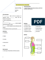 Worksheet Human Anatomy Nervous System