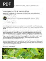 How to Grow Basil _ Houzz.pdf