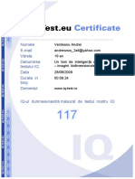 IQ Certificate Andrei Verdeanu