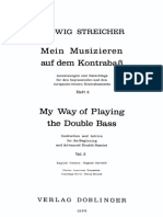 streicher 2.pdf