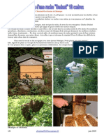 Ruche Dadant PDF