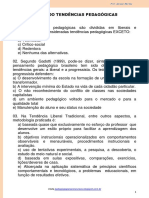 planejamento Niveis 2020 FINAL-PDF - Pedagogia