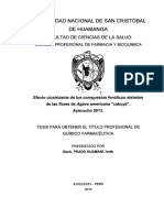 Tesis FAR421_Pra.pdf