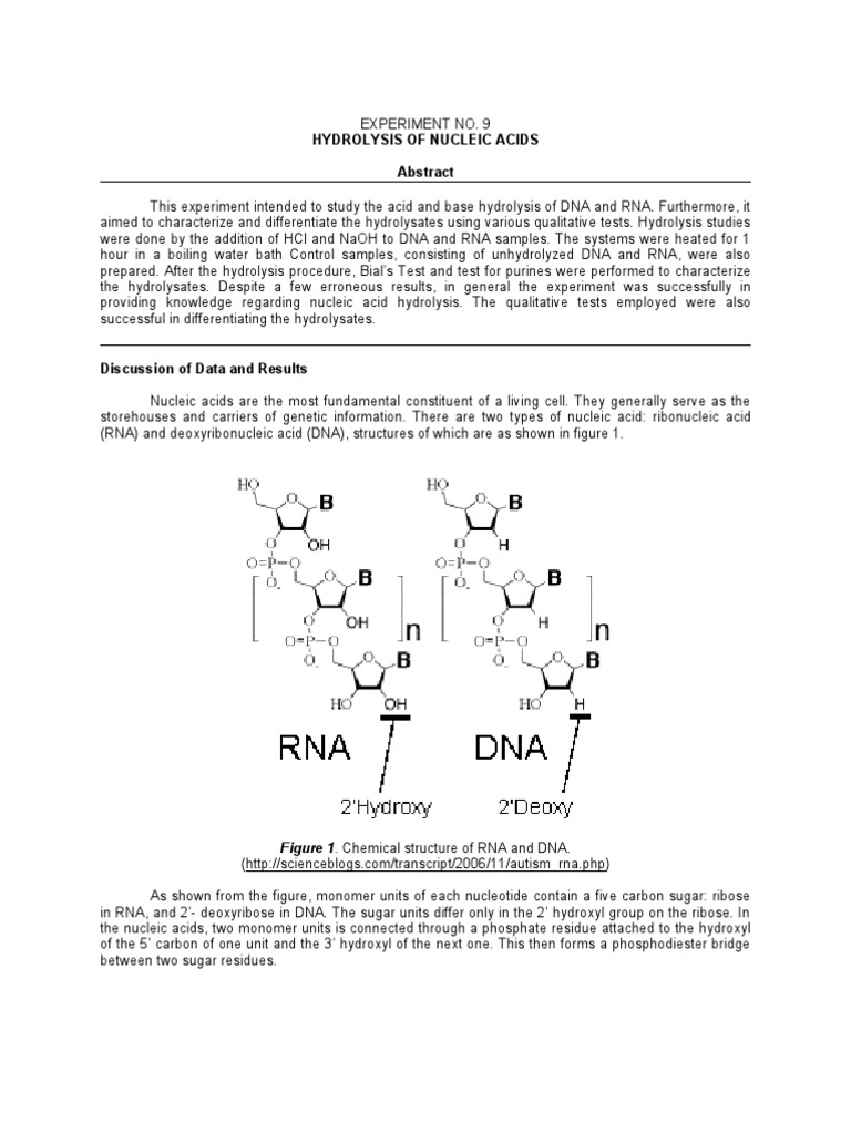 Hydrolysis of Nucleic Acids Nucleic Acids Nucleotides