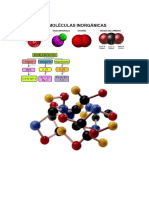 Cta - dibujos de biomoleculas.docx