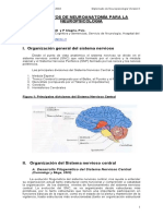 Elementos de Neuroanatomía para La Neuropsicología PDF