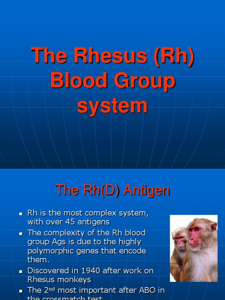 Overview of the Rh Blood Group System | PDF | Dominance (Genetics ...