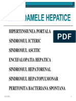 Hipertensiunea Portala Sindromul Icteric Sindromul Ascitic Encefalopatia Hepatica