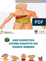 Guia Didactica Del Sitema Digestivo