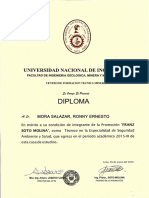 Diploma Ronny Mora