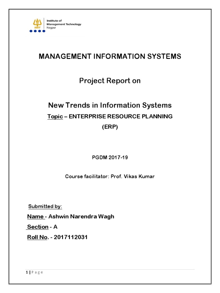 ERP Integration in Management Systems | PDF | Enterprise Resource ...