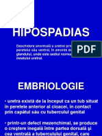 3.13. HIPOSPADIAS