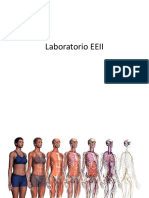 Laboratorio EEII.pdf