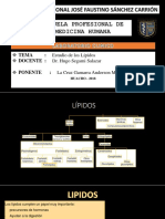 Estudio Sobre Lipidos