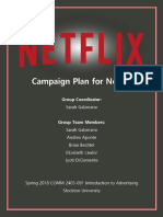 Netflix-Campaign Plan Digital Portfolio-5-7-18