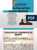 Presentacion Practica Procesal Civil