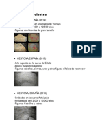 Hallazgos Recientes, Arte Paleolitico