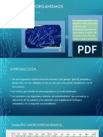 Los Microrganimos PDF Presentacion