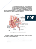 Pediatric Appendicitis