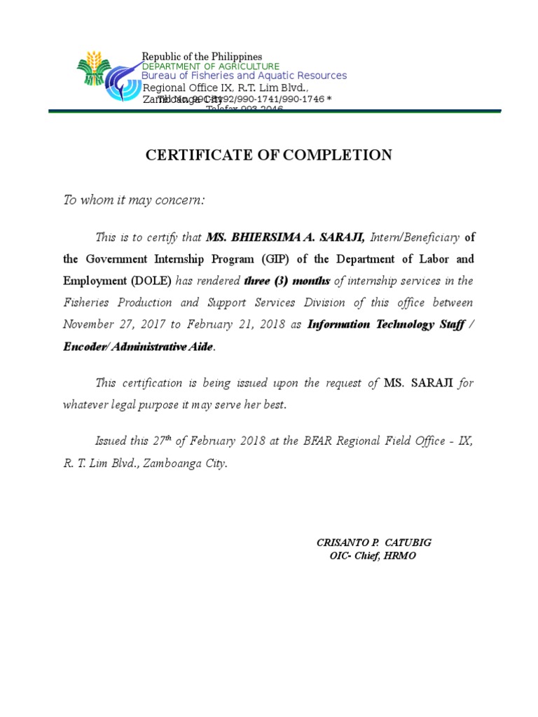 Certificate of Completion Gip | PDF