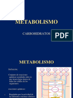 Metabolismo D Carboidratosppt