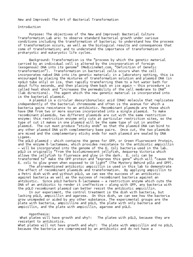 Bio 181 bacterial transformation lab report image