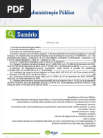 Administracao Publica
