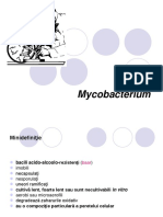 Mycobacterii