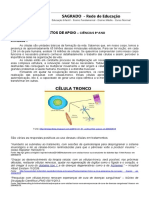 Atividades Ciencias 2