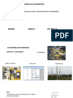 1.4. Esquemas de Distribucion