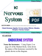 The Nervous System and Reflex Arc