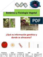 1 Introduccion A La Botanica