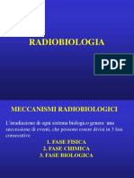 3-radiobiologia