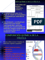 ESTRUCTURA CELULAR.pdf