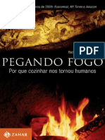 WRAGHAM, S. Pegando Fogo PDF